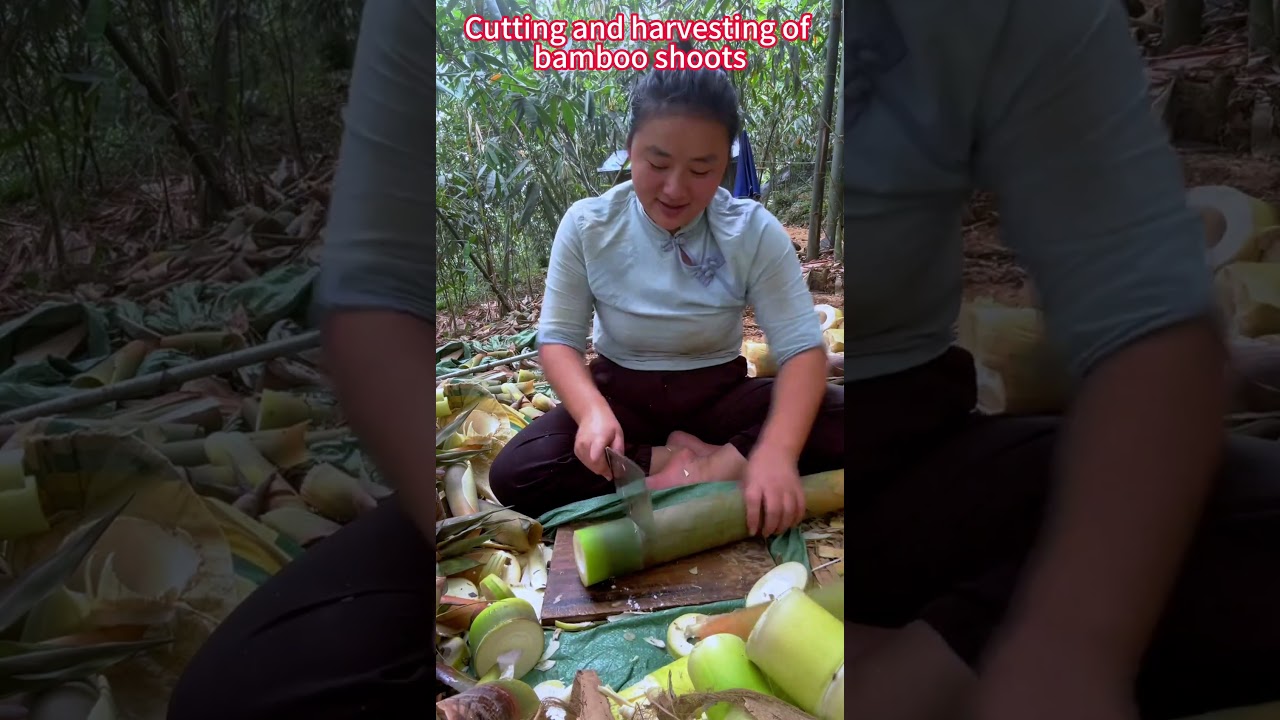 Tender Bamboo Shoots: Save Time, So Easy!鮮嫩竹筍：省時省力真簡單