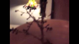 Zen Is When – The Dave Brubeck Quartet Zen Is When