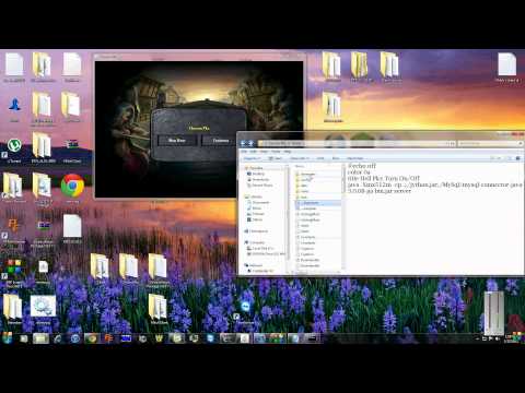 How to make yourself admin on your 317 rsps