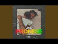 Miniature de la vidéo de la chanson Promise
