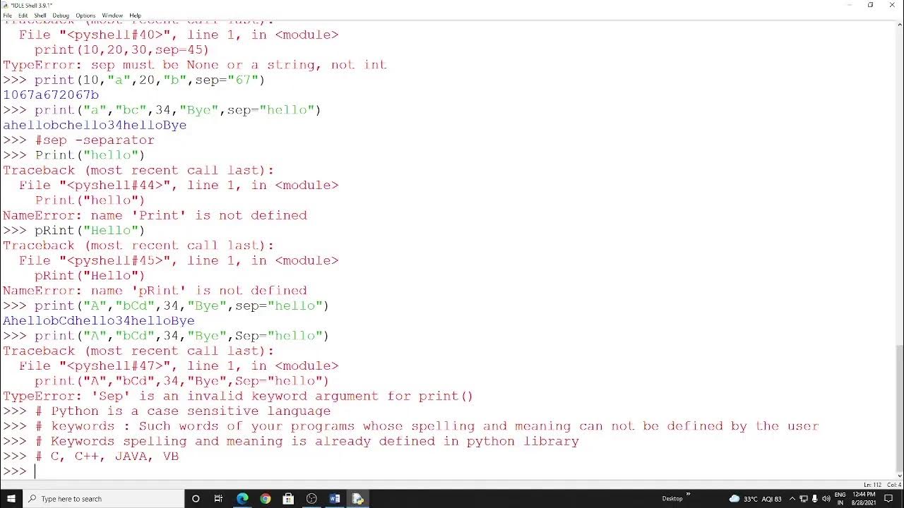 Basic Terms in Python Programming : Topic of XI IP - YouTube