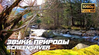 Живая Природа - Река | Звуки Природы | Звуки Реки | Шум Воды | Релаксация | Антистресс | Заставка Тв