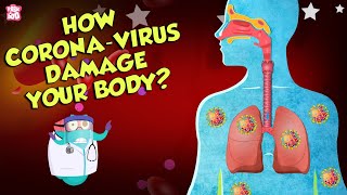 How Corona Virus Affects Your Body? | COVID19 | The Dr Binocs Show | Peekaboo Kidz