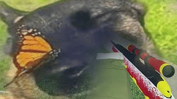 Scout + Seaside = Peace (Roblox Counter Blox)