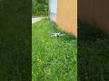 Dji Mini 3 Pro Emergency Stop feature #dji#djimini3pro#shorts#review