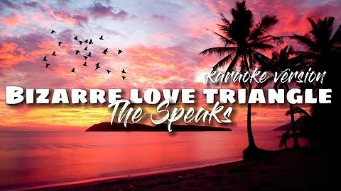 BIZARRE LOVE TRIANGLE | The Speaks | karaoke version #karaoke #minusone #lyrics