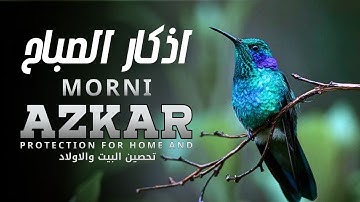 حماية وبركة من الله بأذكار الصباح | Morning Azkar for Divine Protection & Blessings