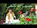فیلم و آهنگ قدیمی از حسیب الله کشمی بدخشی بیا که بریم به مزار ملا محمد جان سیل گل لاله زار واه واه