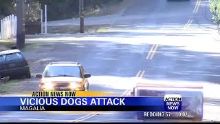 Butte County Sheriff's Office investigating vicious attack by a pack of dogs in Magalia