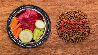 The Hidden Link Between Nutrition and Your Dog's Itching