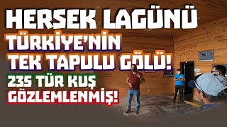 HERSEK LAGÜNÜ | YALOVA BİSİKLET TURU | Turkey bike tour#5