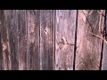 How to paint an old wood picket fence. How to paint an old wood picket fence.