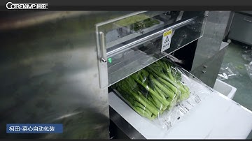 Best price fruit vegetable horizontal wrapping flow packing machine