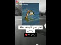 ثعبان شجاع وقام بانقاذ السمكه من الغرق سبحان الله 