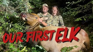 WE GOT OUR FIRST ELK | Washington Archery Elk Hunt