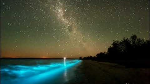 (فخلف من بعدهم خلفٌ أضاعوا الصلاة واتبعوا الشهوات فسوف يلقون غيا) تلاوة بالمقام للقارئ أحمد النفيس