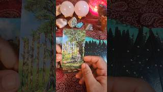 Messages from your spirit guides. ✨️ #tarotreading #shorts