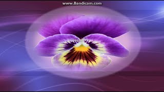 Lütfeyle Allahım & Aşık - I Yezdan Der Allah Allah Resimi