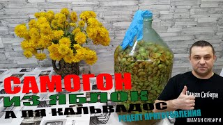 домашний кальвадос! яблочный самогон! рецепт приготовления! дегустация!