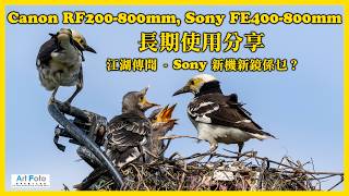 【攝影教學/器材速遞 #644】Canon RF200-800mm, Sony FE400-800mm 長時間使用分享，Sony 新機新鏡係乜? (CC 中文字幕) - Alex Fung