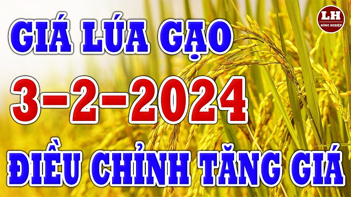1 tạ lúa được bao nhiêu gạo năm 2024