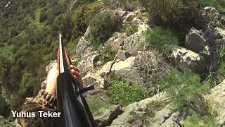 Izmir Domuz Avı Wild Boar Hunting