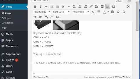 WordPress Keyboard Shortcuts Training Video
