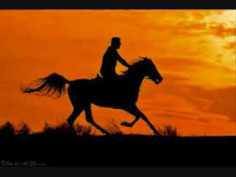 إيلي شويري خي ل يا بطل بالساحة