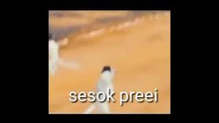 sesok prei (besok libur)