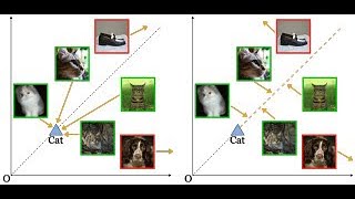 [CVPR 2024 Highlight] Accept the modality gap: An exploration in the hyperbolic space