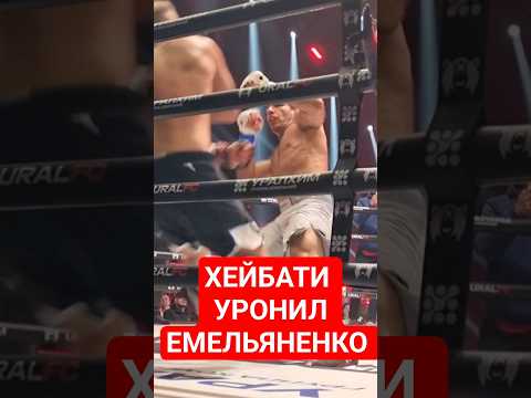 Видео: Али Хейбати - Иван Емельяненко  / НОКДАУН