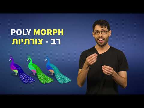 תכנות מונחה עצמים: פולימורפיזם