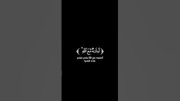 كروما شاشة سوداء قرآن كريم 🌿تلاوة من سورة النمل 🌿القارئ أحمد النفيس 🌿