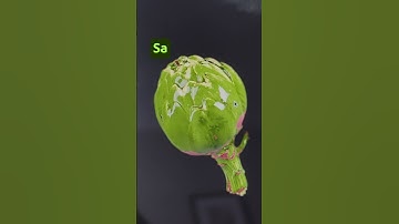 Ceramic Glaze Stylization from 3D Capture in Substance 3D Sampler #substance3d #madewithsubstance