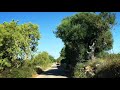 Playa de S’ Amarador Beach Mallorca Holiday 18