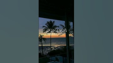 تلاوة من سورة هود 🌹قرآن كريم 🌹القارئ محمد صديق المنشاوي 🌹