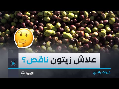 شاهد ما قاله صاحب معصرة الزيتون الزيتون مكاش بزاف بسبب نقص المطر