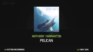 Anthony Yarranton 'Pelican'