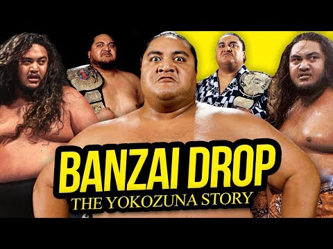 Video: In welchem Alter starb Yokozuna?