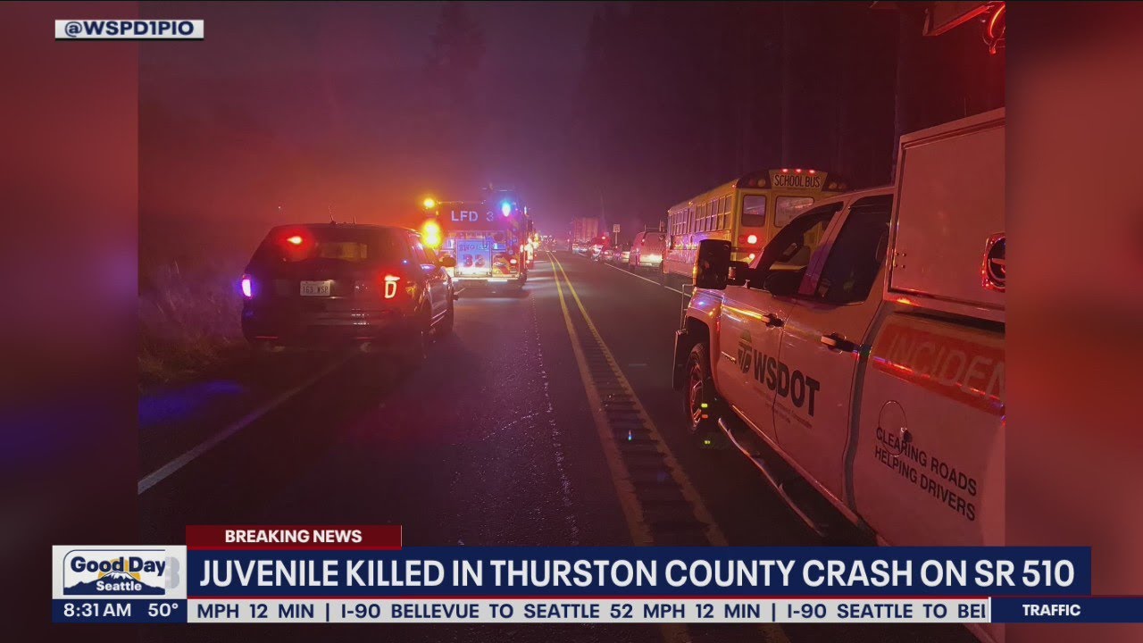 Child killed in Thurston County crash on SR 510 | FOX 13 Seattle - YouTube