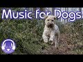 How to Relax My Dog: 15 Hours of Music to INSTANTLY Calm Your Dog! (2019!)