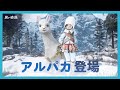 ふわふわアルパカ登場！ | 黒い砂漠