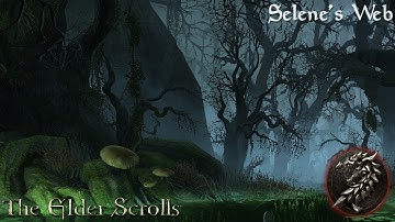 Elder Scrolls, The (Longplay/Lore) - 0061: Selene