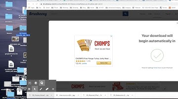 Import Brushes - Photopea