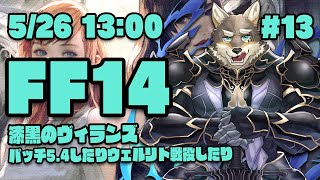 【FF14漆黒のヴィランズ#13】パッチ5.4に加えてウェルリト戦役にも手を出すヒカセン狼【Vtuber/荒塚オガミ】