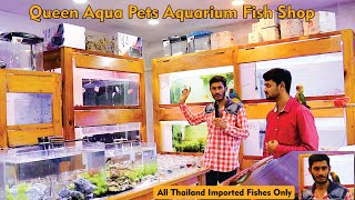 Chess queen’s aqua pets Aquarium fish shop Banashakari Bangalore Newly opened