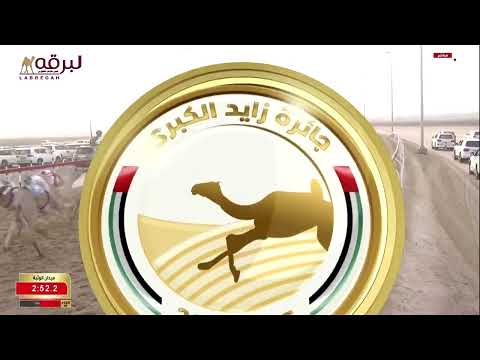 ش6 عناية ل أحمد سلطان بالرشيد السويدي مهرجان جائزة زايد الكبرى 24 11 2025ص حقايق بكار 6 55 93