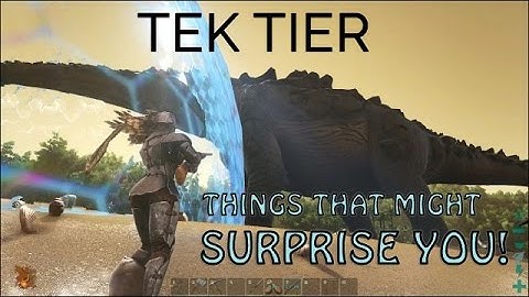 TEK TIER Things about structures that might SURPRISE YOU!