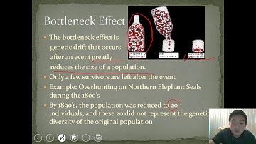 Video Lecture #16: Population Genetics