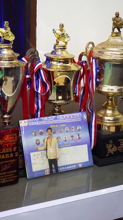 PICK UP THE NEW SUPER RED ARWANA AMMUNITION! #fish #fish #arowana